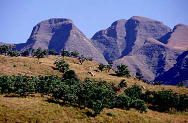 Royal Natal National Park, South Africa, Jacek Piwowarczyk, 1994