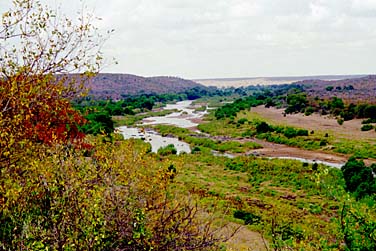 Kruger National Park, South Africa, Jacek Piwowarczyk, 1994