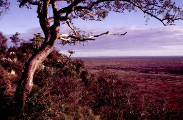 Kruger National Park, South Africa, Jacek Piwowarczyk, 1994