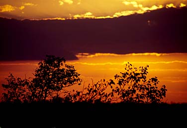 Kruger National Park, South Africa, Jacek Piwowarczyk, 1994