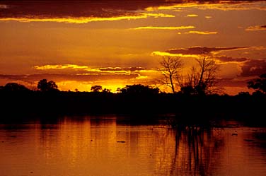 Kruger National Park, South Africa, Jacek Piwowarczyk, 1994