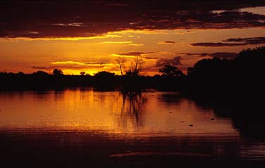 Kruger National Park, South Africa, Jacek Piwowarczyk, 1994