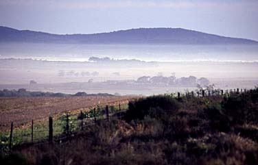 Northern CApe, South Africa, Jacek Piwowarczyk, 1994