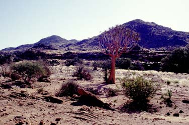 Augrabies Falls National Park, South Africa, Jacek Piwowarczyk, 1994