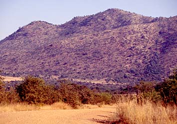 Pilansberg National Park, South Africa, Jacek Piwowarczyk, 1994