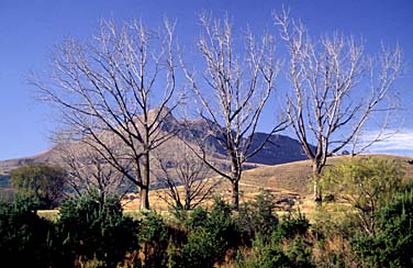 Royal Natal National Park, South Africa, Jacek Piwowarczyk, 1994