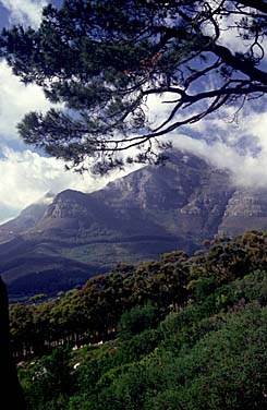 Table Mountain, Cape Town, South Africa, Jacek Piwowarczyk, 1994
