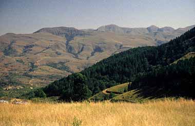 Swaziland, Jacek Piwowarczyk, 1994