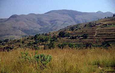 Swaziland, Jacek Piwowarczyk, 1994