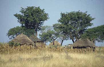 Swaziland, Jacek Piwowarczyk, 1994