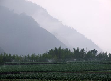 Central Mountains, Taiwan, Jacek Piwowarczyk, 2008