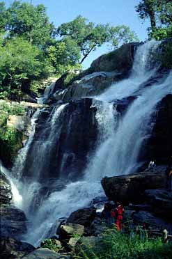 Doi Inthanon, Chiang Mai, Thailand, Jacek Piwowarczyk, 1993