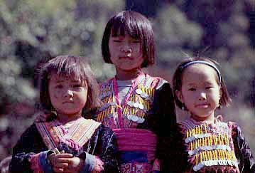 Doi Pui, Chiang Mai, Thailand, Jacek Piwowarczyk, 1993