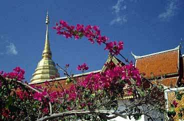 Doi Suthep, Chiang Mai, Thailand, Jacek Piwowarczyk, 1993