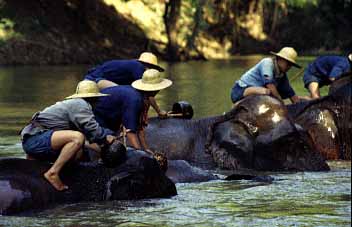 Chiang Dao,  Chiang Mai, Thailand, Jacek Piwowarczyk, 1993