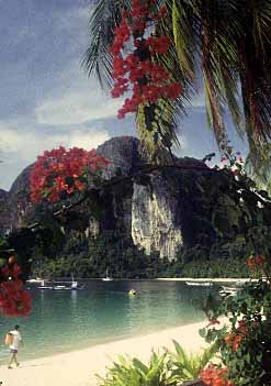 Phi Phi Island, Thailand, Jacek Piwowarczyk, 1995