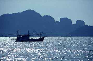 Phi Phi Islands, Thailand, Jacek Piwowarczyk, 2001