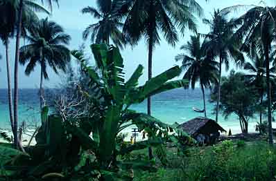 Phi Phi Islands, Thailand, Jacek Piwowarczyk, 2001