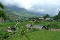 SAPA