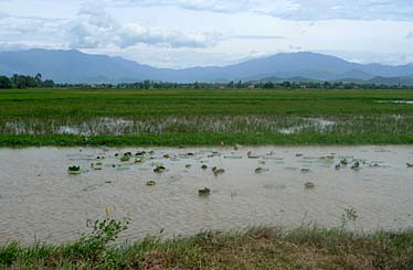 Nha Trang Area, Vietnam, Jacek Piwowarczyk, 2009
