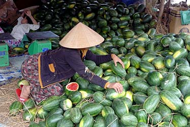 Hue, Vietnam, Jacek Piwowarczyk, 2009
