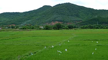 Hue to Da Nang, Vietnam, Jacek Piwowarczyk, 2009