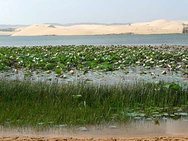 Bao Trang, Mui Ne, Vietnam, Jacek Piwowarczyk, 2009