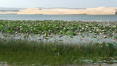 Bao Trang, Mui Ne, Vietnam, Jacek Piwowarczyk, 2009