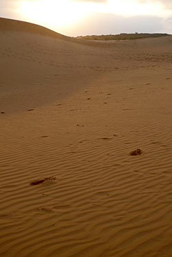 Red Sand Dunes, Mui Ne, Vietnam, Jacek Piwowarczyk, 2009