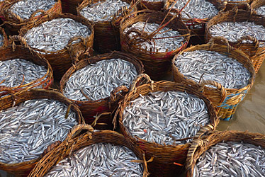 Mui Ne Fishing Village, Vietnam, Jacek Piwowarczyk, 2009