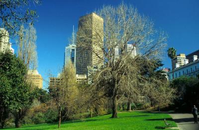 Melbourne, Victoria, Australia, Jacek Piwowarczyk, 1993