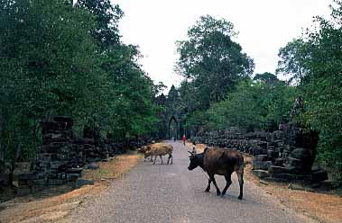 Angkor Thom, Cambodia, Jacek Piwowarczyk, 2000