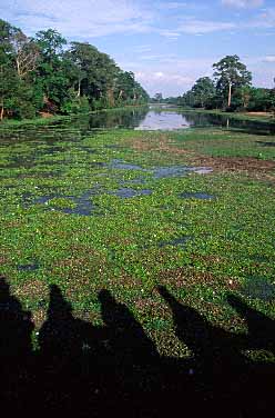 Angkor Thom, Cambodia, Jacek Piwowarczyk, 2000