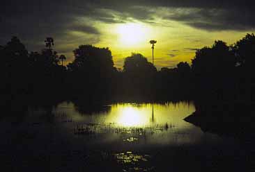 Siem Rep, Cambodia, Jacek Piwowarczyk, 1993
