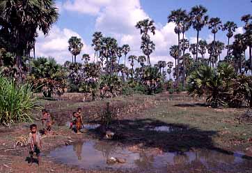 Village near Bantaey Samre, Cambodia, Jacek Piwowarczyk, 2000