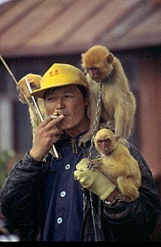 China, Jacek Piwowarczyk
