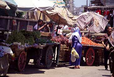 Alexandria, Egypt, Jacek Piwowarczyk, 1997