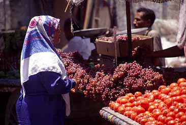 Alexandria, Egypt, Jacek Piwowarczyk, 1997