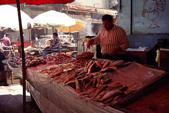 Alexandria, Egypt, Jacek Piwowarczyk, 1997