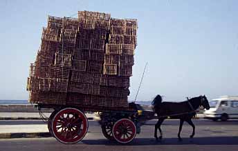 Alexandria, Egypt, Jacek Piwowarczyk, 1997