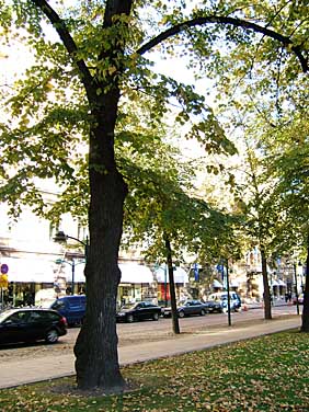 Helsinki, Finland, Jacek Piwowarczyk, 2005