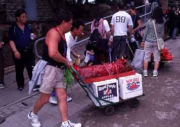 Hong Kong, China, Jacek Piwowarczyk, 2001
