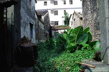 Hong Kong, China, Jacek Piwowarczyk, 2001
