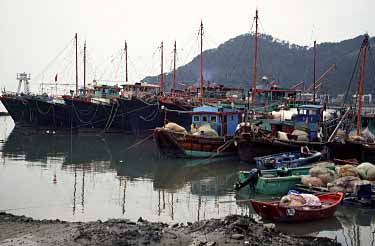 Tai O, Ping, Lantau, Hong Kong, China, Jacek Piwowarczyk, 2002