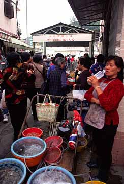 Tai O, Ping, Lantau, Hong Kong, China, Jacek Piwowarczyk, 2002