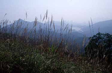 Grassy Hill, Hong Kong, China, Jacek Piwowarczyk, 2002