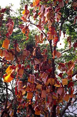 Lam Tsuen Wish Tree, Tai Po Market Area, New Territories, Hong Kong, China, Jacek Piwowarczyk, 2003