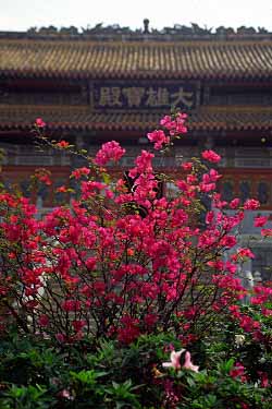 Po Lin, Lantau, Hong Kong, China, Jacek Piwowarczyk, 2003