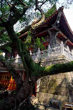 Po Lin, Lantau, Hong Kong, China, Jacek Piwowarczyk, 2003