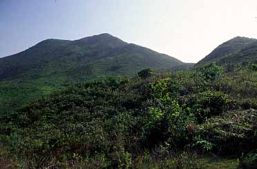 Lantau Island, Hong Kong, China, Jacek Piwowarczyk, 2003